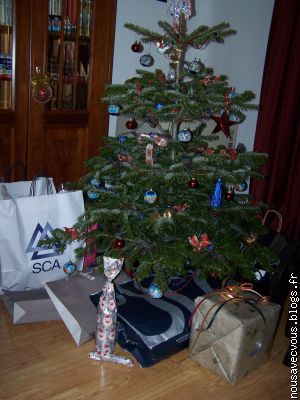 Mon Bo sapin de Dani&egrave;le