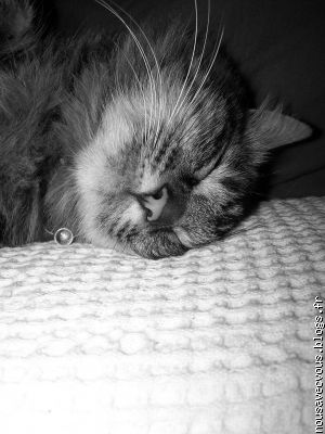 et mimou!!!
