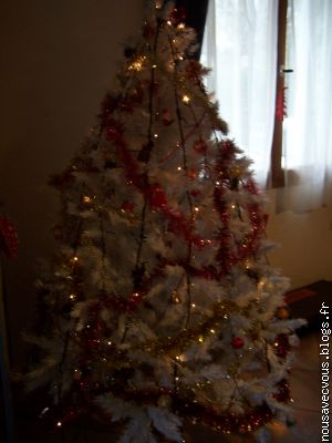Mon Bo sapin de la Robine